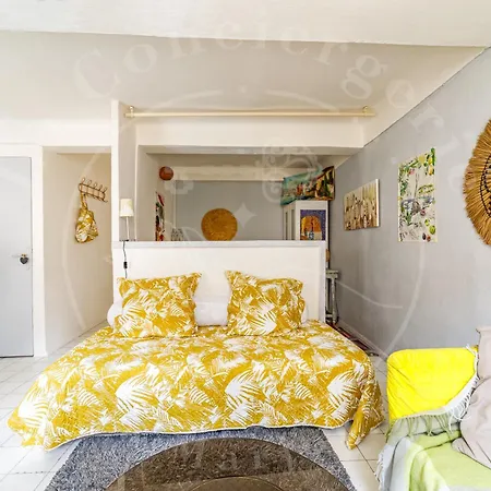 Le Cocon En Hyper Centre Toulon